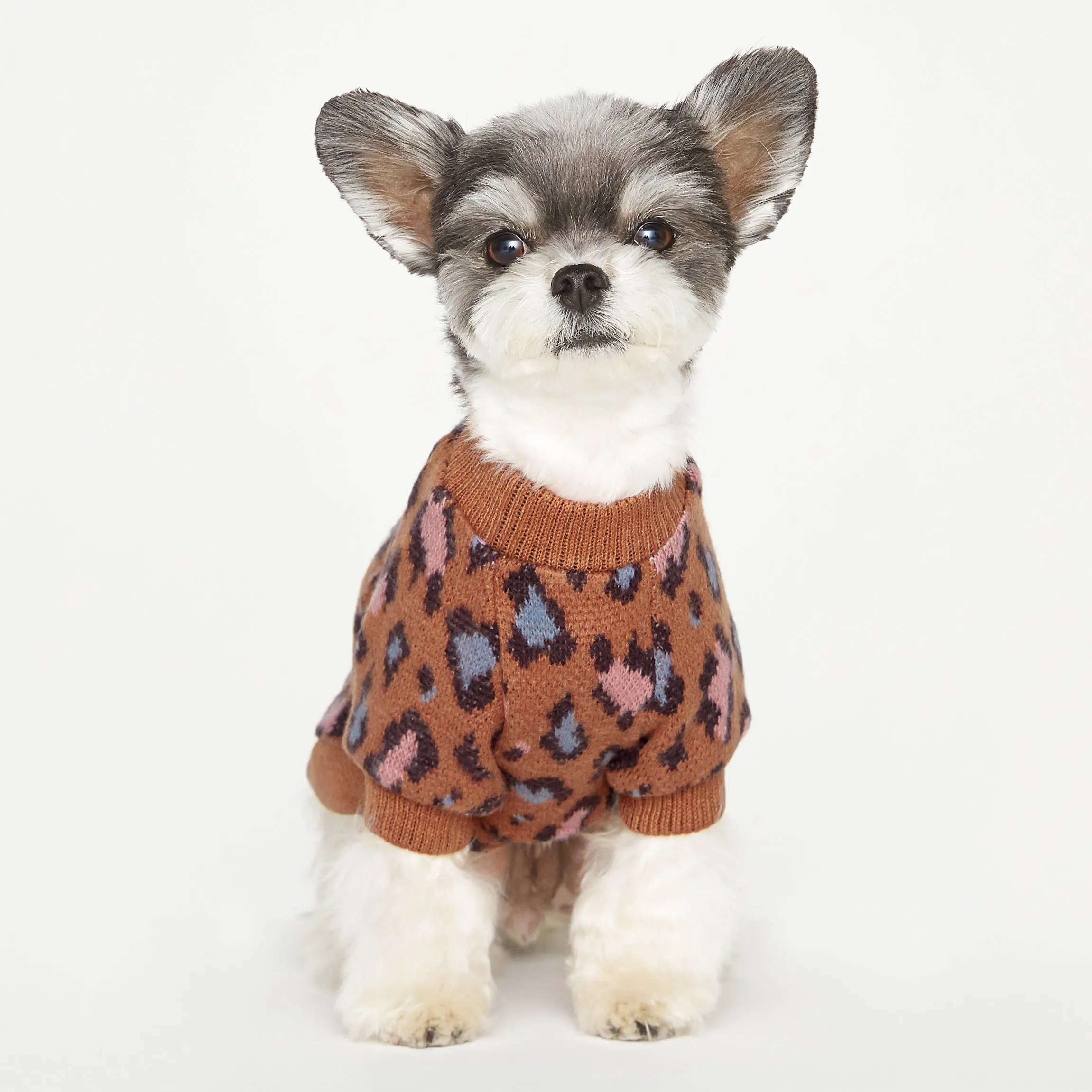 Leopard Pattern Knit Sweater - Brown