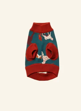 Teal Woof Rodney Dog Sweater